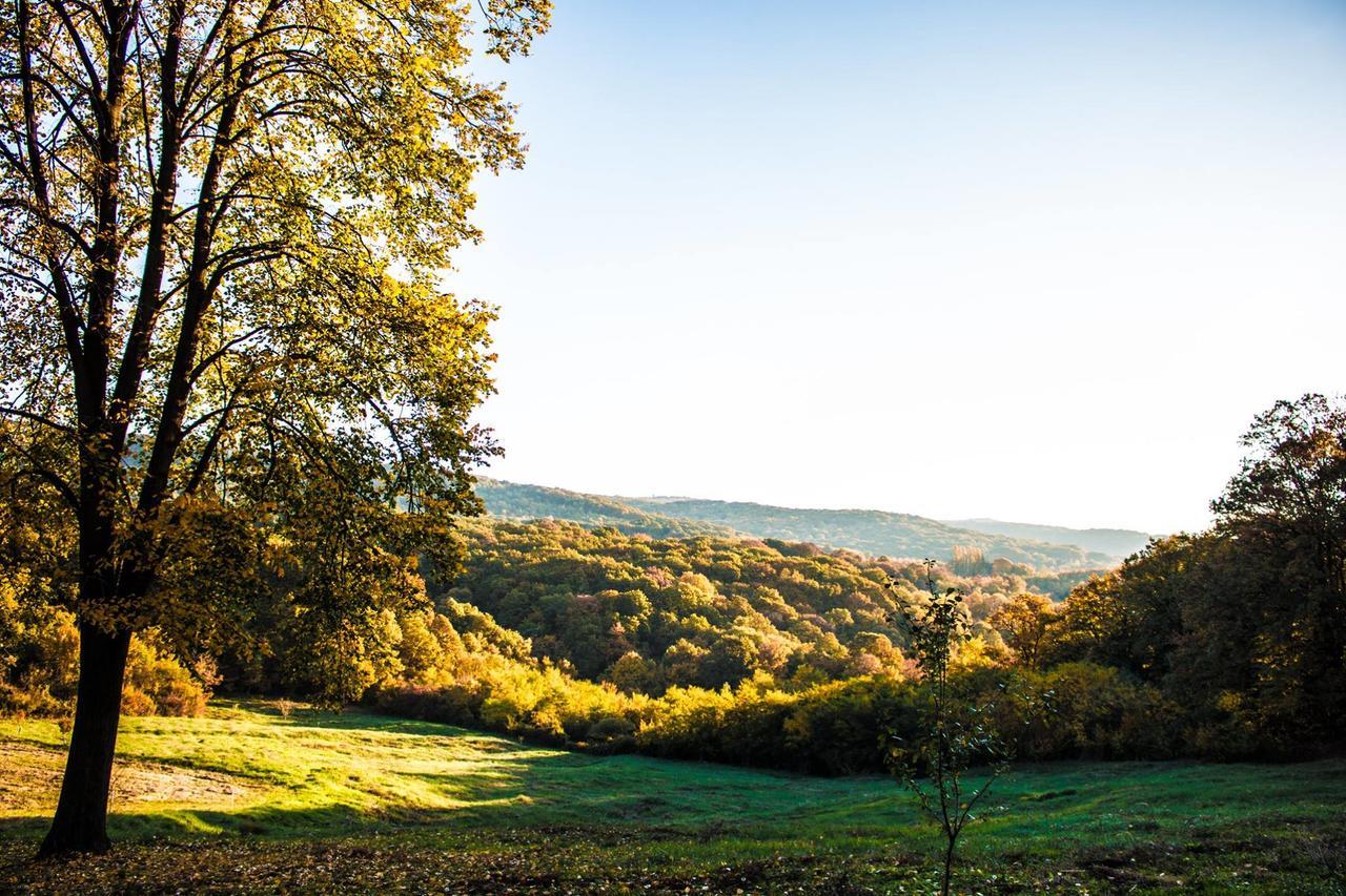 Bed and Breakfast Etno Naselje Vrdnicka Kula Vrdnik Exteriér fotografie
